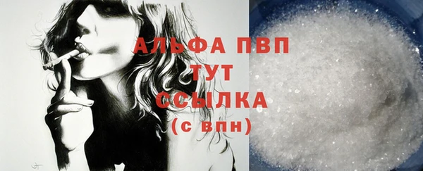 крисы Алзамай