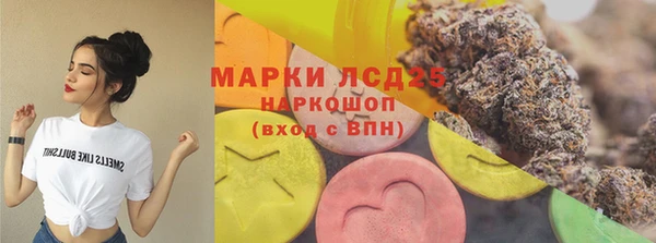 крисы Алзамай