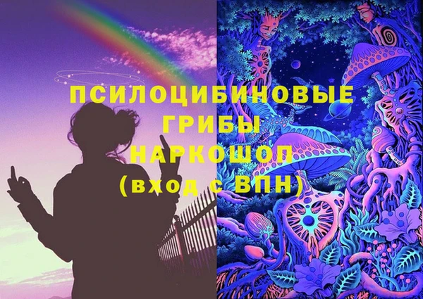 крисы Алзамай