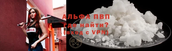 крисы Алзамай
