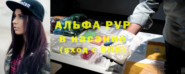 крисы Алзамай